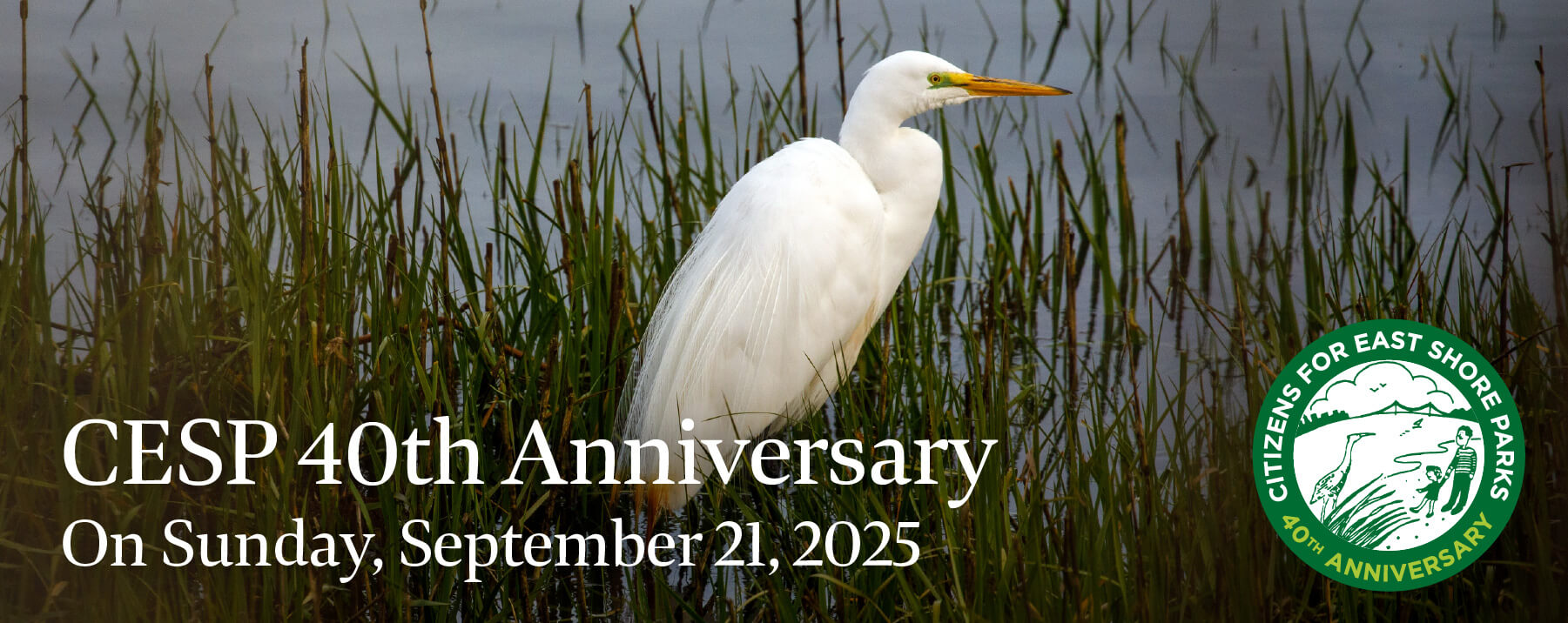 Artboard 1 copy@3x-80